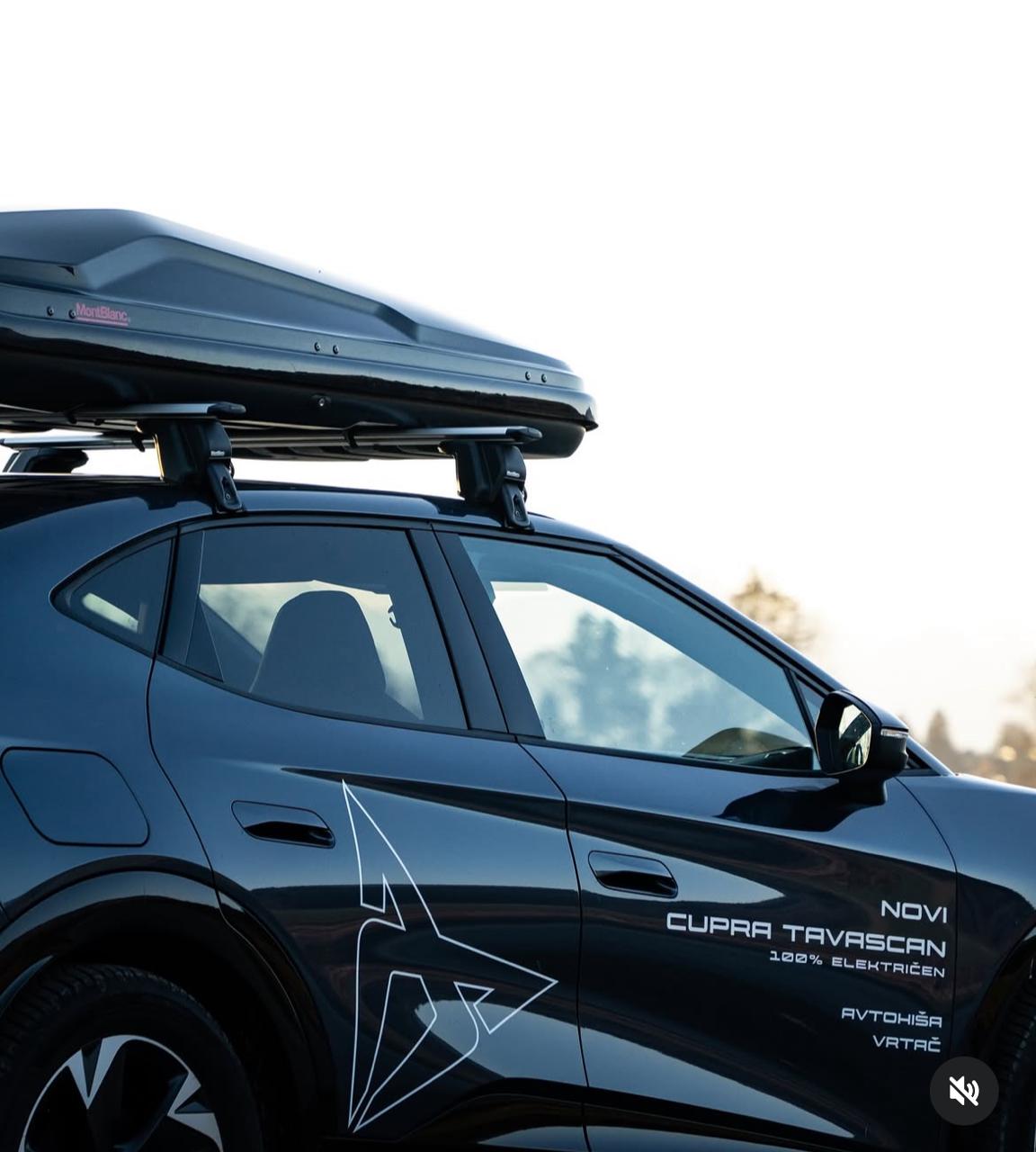 Caja Portaequipajes Mont Blanc Altitude 450 Litros